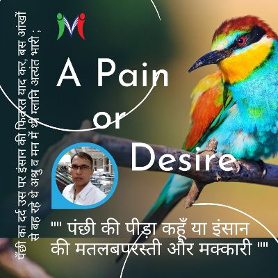 Meaning of Bird's Pain