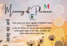 Meaning of Pleasure