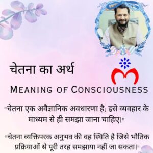Meaning of Consciousness