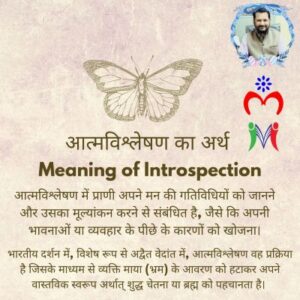 Meaning of Introspection